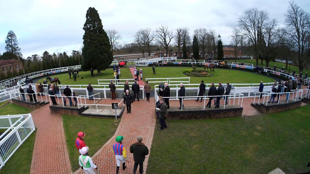 Lingfield: better known for its Flat racing, turf and all-weather, hosts an afternoon of jump racing
