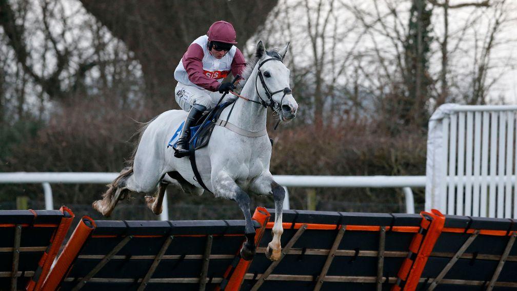 Silver Streak: Champion Hurdle contender will not be ridden by Adam Wedge