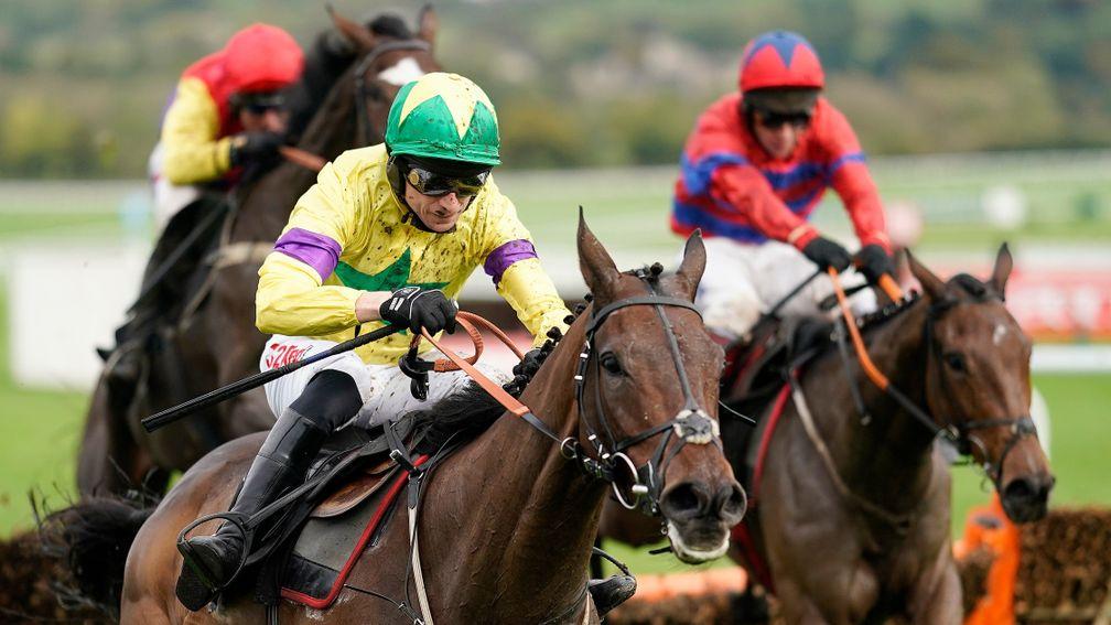 Champagne Well: bidding to build on his second to Thyme Hill at Prestbury Park last time