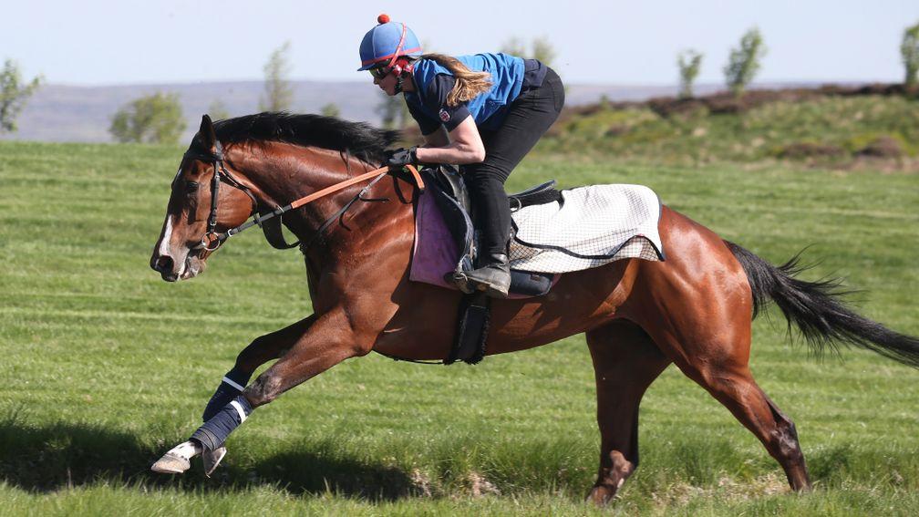 Laurens works at home under trainer Karl Burke's daughter Lucy