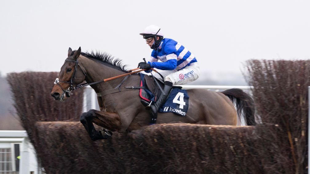 Pic D'Orhy: a dual Grade 2-winning chaser