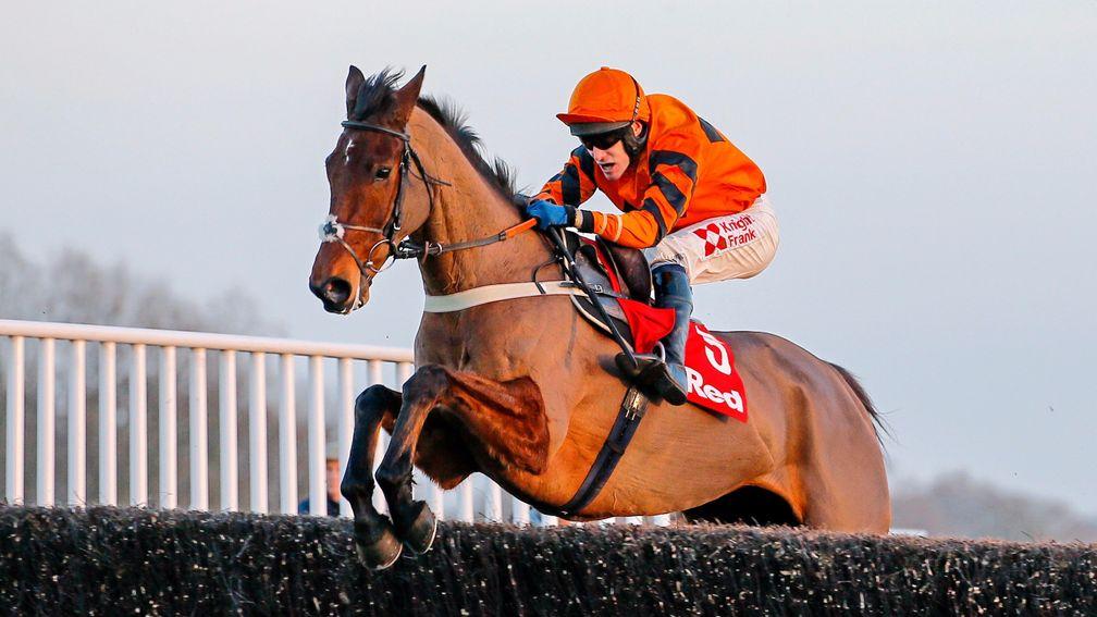 Thistlecrack: can Colin Tizzard's star retain his King George crown?