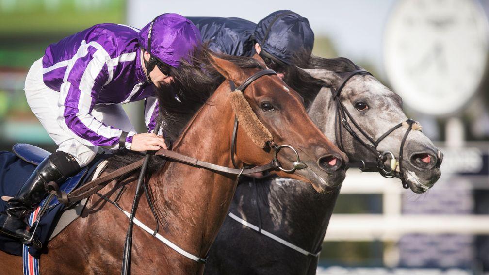 Hydrangea and Wayne Lordan edge out Winter to land the Matron Stakes
