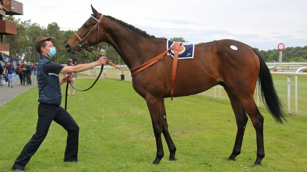 The top lot at the Osarus Breeze-Up sale was a son of Wootton Bassett, sold to Nicolas Bertran de Balanda for €200,000