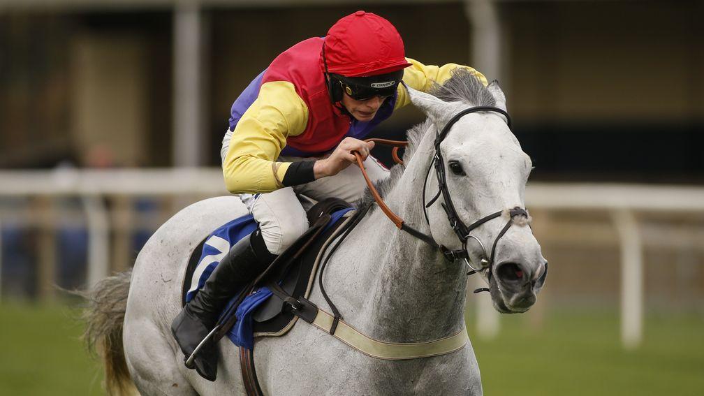 White Moon is another fascinating contender at Exeter