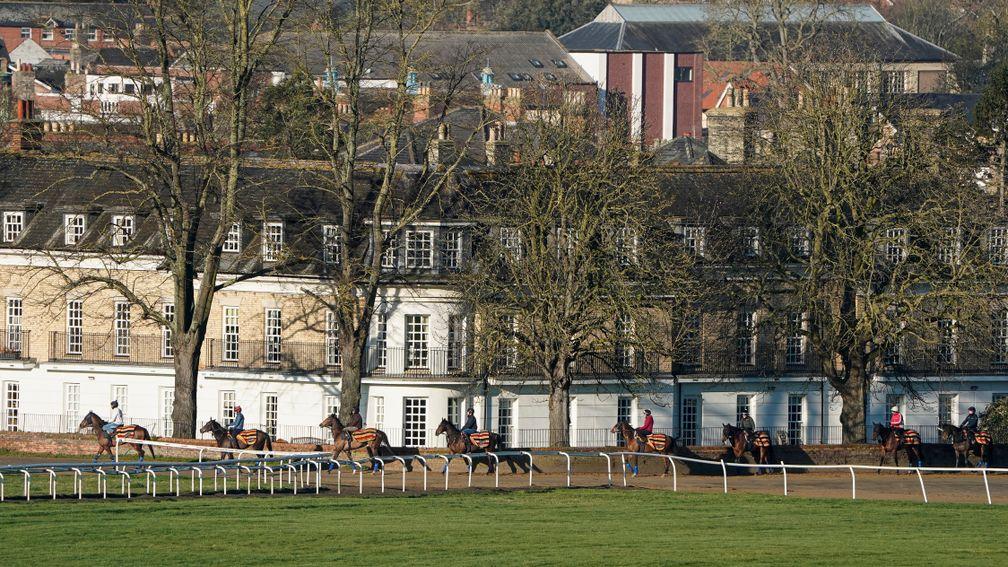 Horses making their way to Warren Hill gallops in Newmarket before the lockdown was announced
