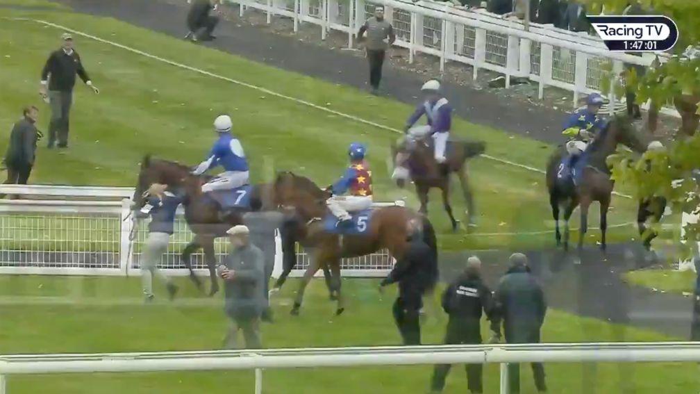 Oasis Gift heads towards the railings in the parade ring under a helpless Murphy