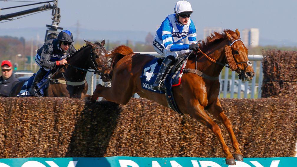 San Benedeto: the team are hopeful of a nice run in the Clarence House Chase