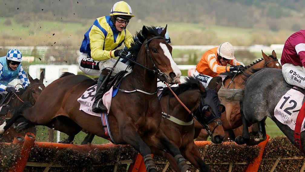 Band Of Outlaws: won the Fred Winter at this year's Cheltenham Festival