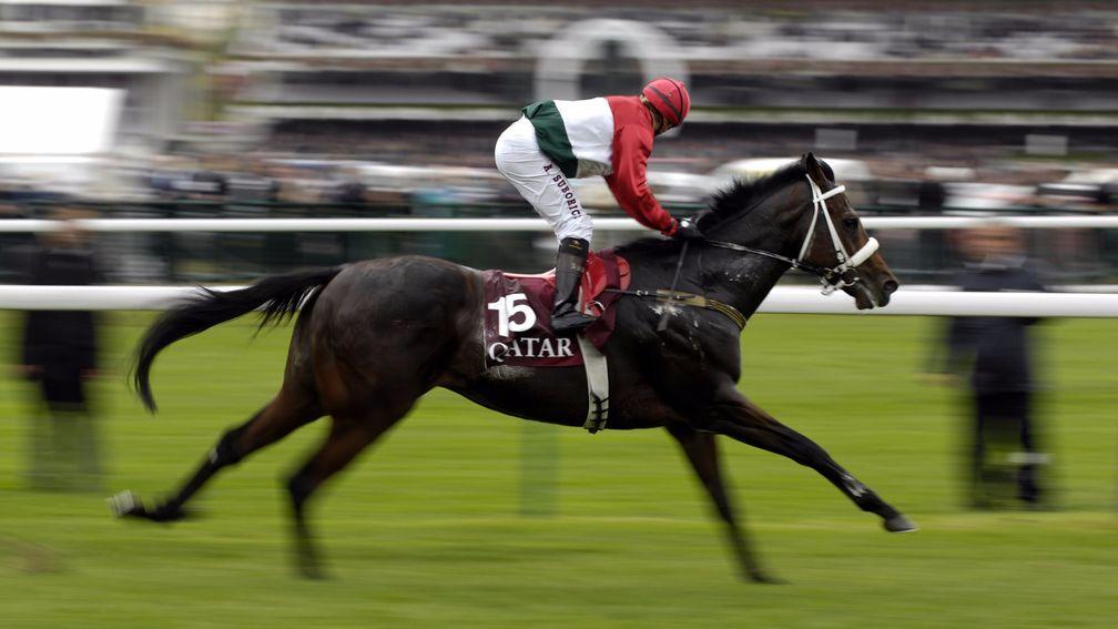 Overdose is the most famous horse to be associated with Hungary in modern times