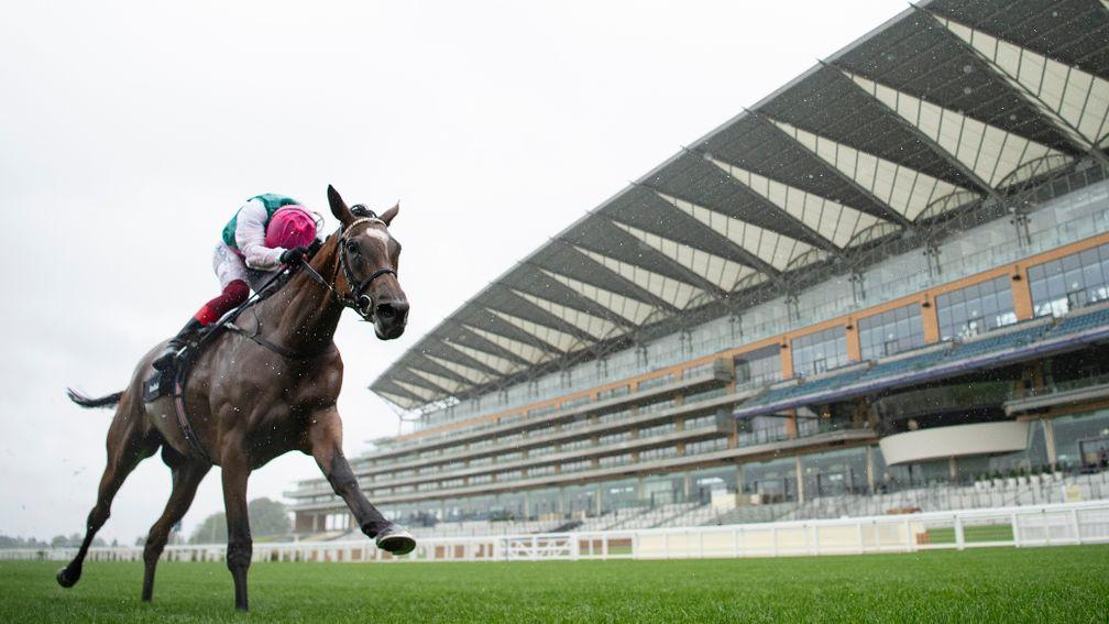 Perfect performance: Enable strides past the line to win a third King George
