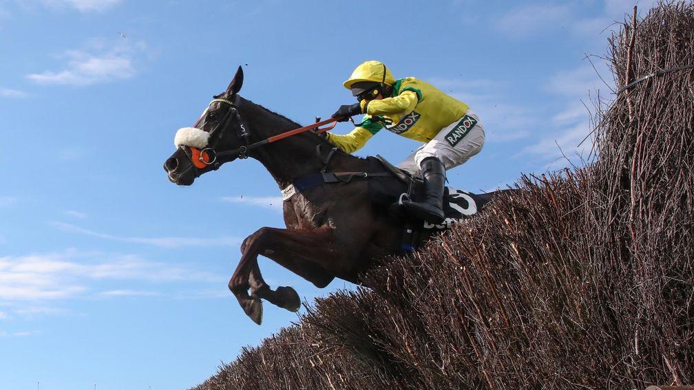 Happygolucky: won over the Mildmay fences but could be set for a spin over the National ones next year