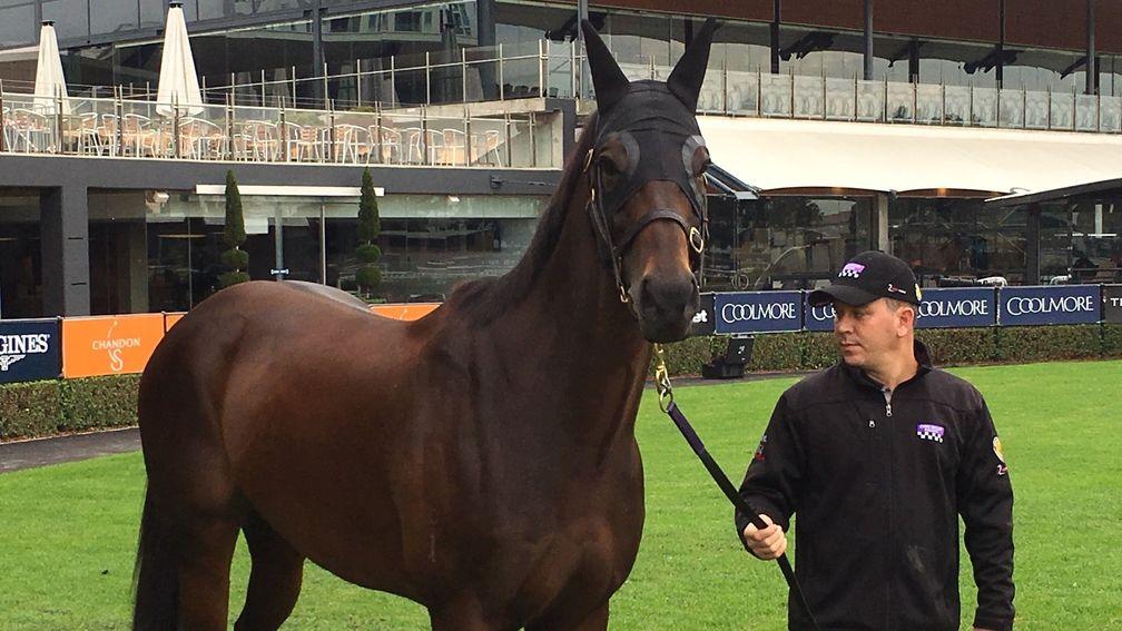 Winx poses with strapper Umut Odemislioglu at Rosehill on Sunday