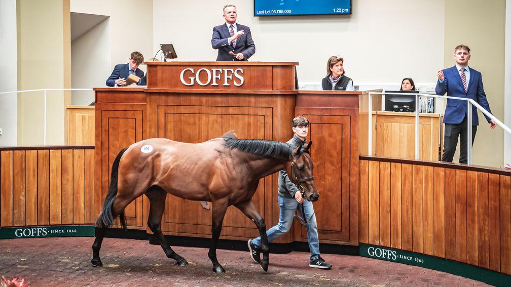 Lot 94: the Mehmas colt who made £200,000 to Michael O'Callaghan