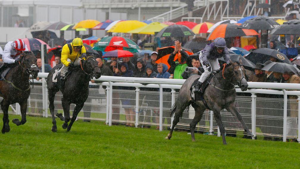 Havana Grey and PJ McDonald win the Molecomb Stakes at Goodwood on Wednesday