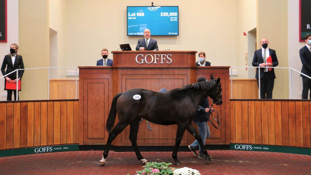 Lot 698: the Dandy Man colt bought by Mags O'Toole for £50,000