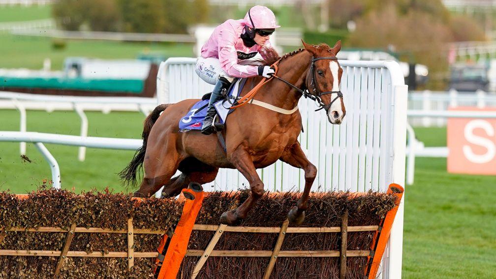 For Pleasure: fared best of the British runners when third in the Supreme Novices' Hurdle