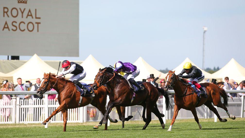 ASCOT, ENGLAND - JUNE 16: Kyprios ridden by Ryan Moore beats Mojo Star (6) ridden by Rossa Ryan and Stradivarius (3) ridden by Frankie Dettori on the way to winning The Gold Cup during day three of Royal Ascot 2022 at Ascot Racecourse on June 16, 2022 in