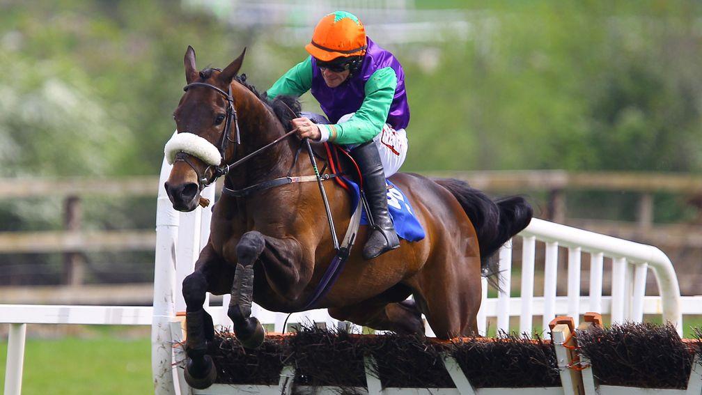 Shop Dj: dam of Hillcrest on her way to winning the Grade 3 Mares Hurdle at the Punchestown festival in 2011