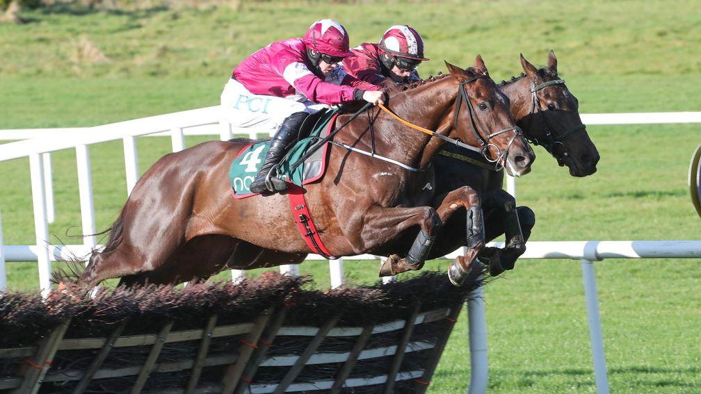 Grangeclare Native (near side): belatedly opened his account over hurdles at Downpatrick on Tuesday