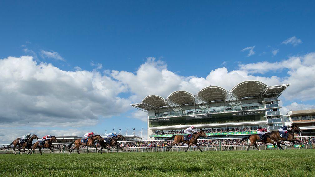 Warm weekend: temperatures are expected to hit 21C on Saturday and 23C on Sunday at Newmarket