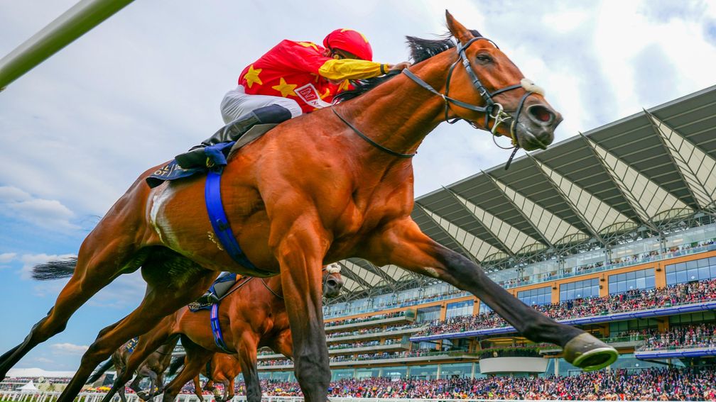 State of Rest -Shane Crosse winsThe Prince Of Wales's Stakes (Group 1) (British Champions Series) Royal Ascot 15.6.2022©Mark Cranhamphoto.com