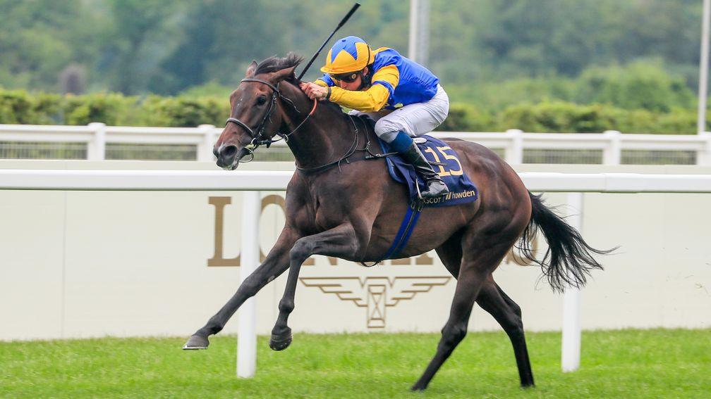 Wonderful Tonight: Group 1-winning filly is looking to extend the legacy of Montjeu