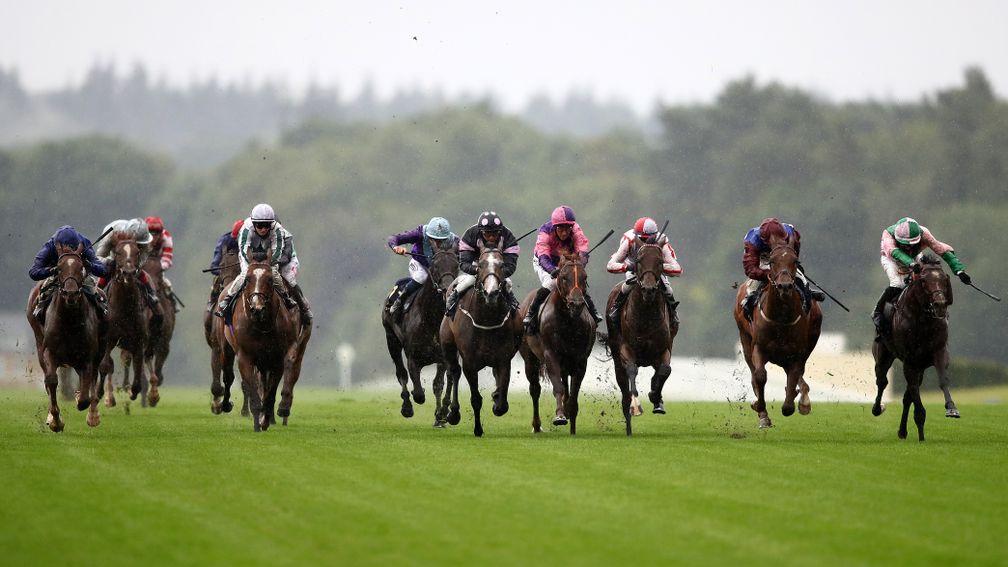 ASCOT, ENGLAND - JUNE 18:  Highland Chief (r) ridden by Rossa Ryan on the way to winning the Golden Gates Handicap on Day Three of Royal Ascot 2020 at Ascot Racecourse on June 18, 2020 in Ascot, England. (Photo by Julian Finney/Getty Images)