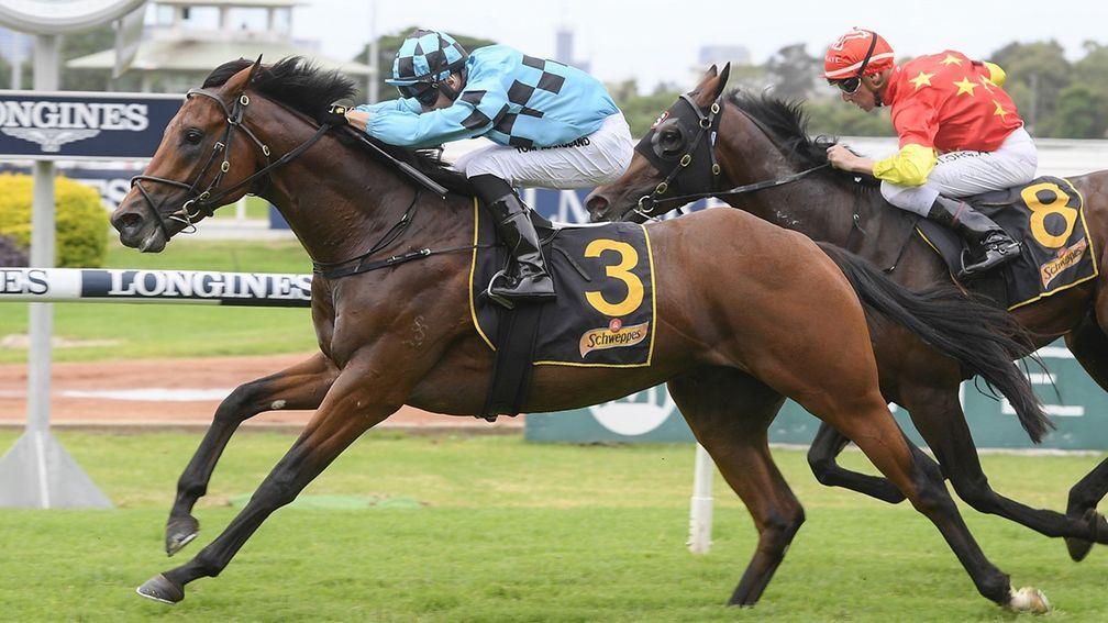 Holyfield, seen here winning under Tom Marquand at Rosehill in March, has been one of many stars of 2020 for Aquis