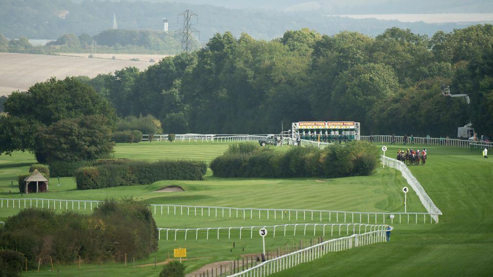 Salisbury: stages an eight-race card this afternoon