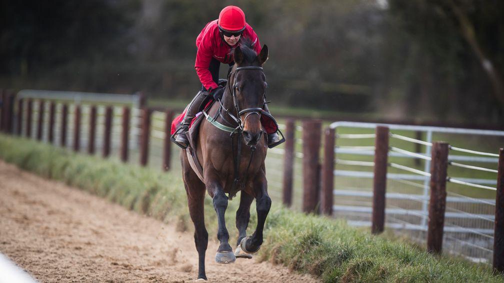 Our Duke: beat RSA Chase favourite Presenting Percy on his last start at Gowran