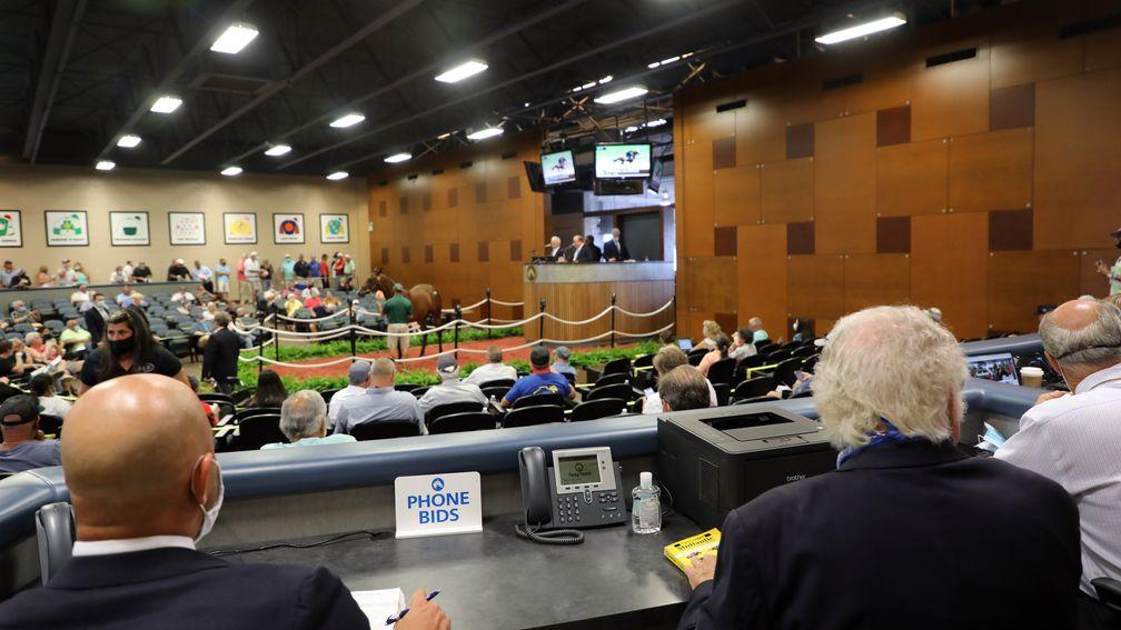 Pin Oak Stud will offer broodmares, weanlings and some racing fillies at Fasig-Tipton