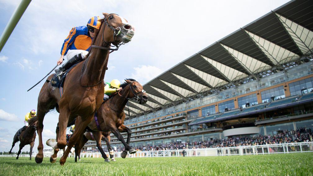 Love (Ryan Moore) wins the Prince Of Wales's StakesAscot 16.6.21 Pic: Edward Whitaker/ Racing Post