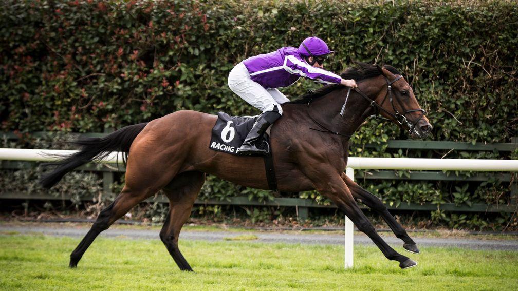 I Can Fly: an impressive winner of the Racing Post Vincent O'Brien Ruby Stakes at Killarney