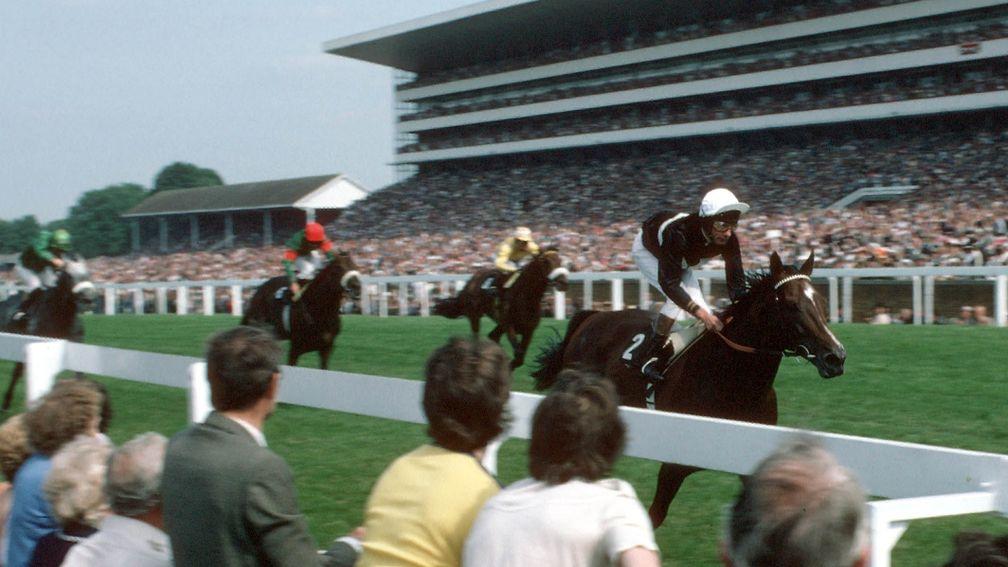Ardross (Lester Piggott) matches Le Moss with a second Gold Cup triumph in 1982