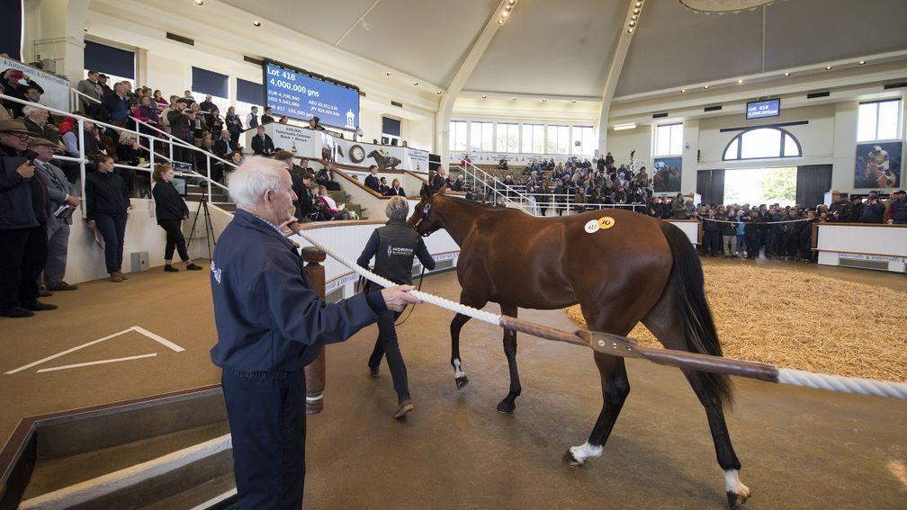 Gloam, a daughter of champion sire Galileo and dual Grade 1 winner Dank, sold for 4,000,000gns at Tattersalls after Sheikh Mohammed’s Godolphin operation outbid Coolmore, a duel harking back to the bloodstock scene of old
