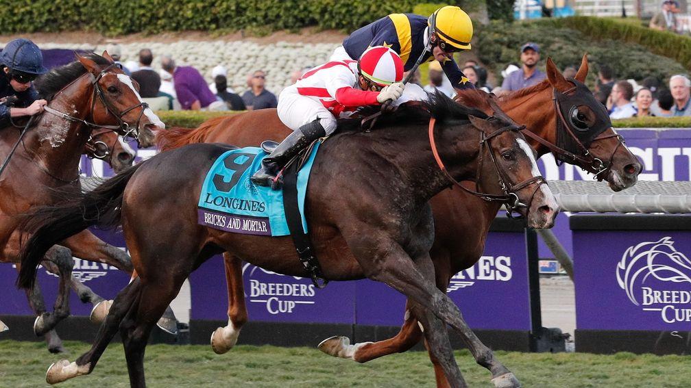 Bricks And Mortar winning the Breeders' Cup Turf to cap his Horse of the Year campaign