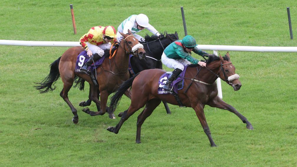Two for the price of one: Azada (green) and Harbour Gem (yellow) in action at Leopardstown - both are on our three-year-olds to follow list







