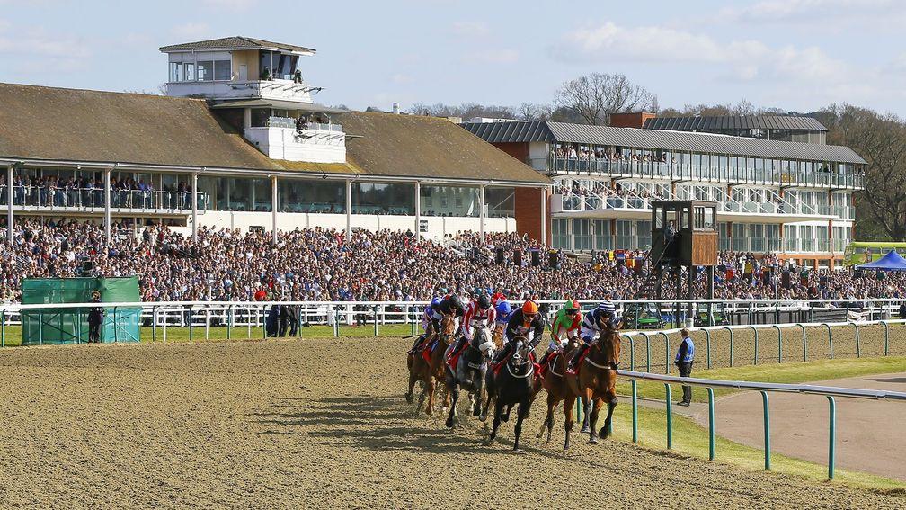Lingfield: hosts a card today