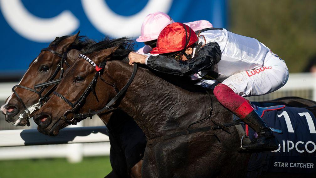 Star Catcher (near side) shone a light on her sire on British Champions Day