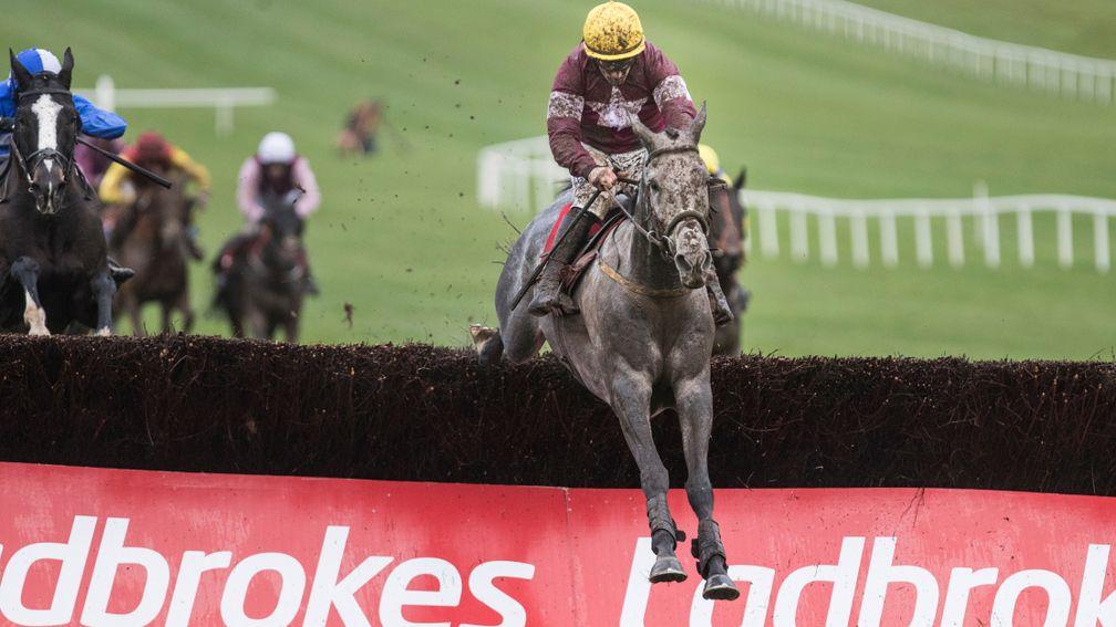 Tout Est Permis: out to prove he's a graded horse at Thurles