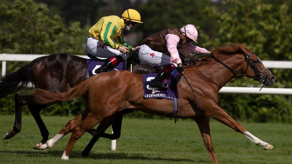 Course-and-distance winner Maritime Wings runs for the yard of Joseph O'Brien