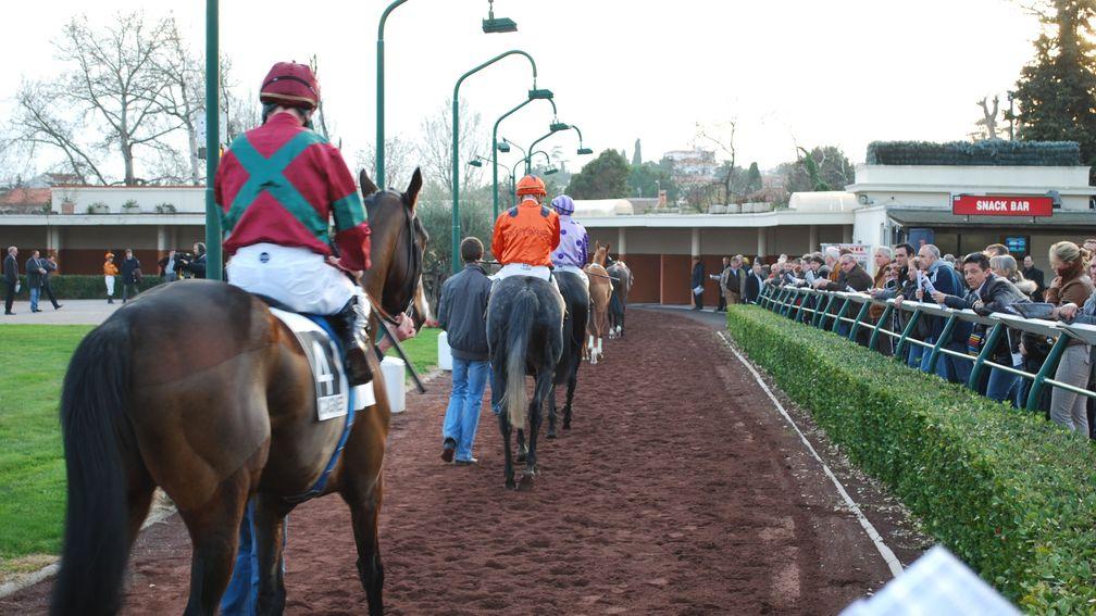Cagnes-sur-Mer: Michael Bell and Archie Watson saddle runners at the French track on Sunday
