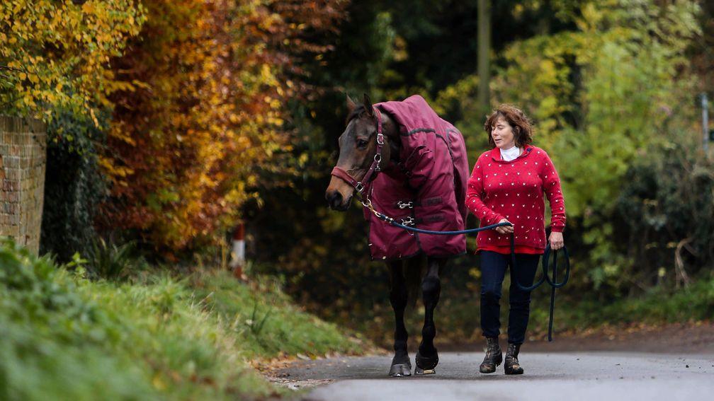 Coneygree in his racing days taking an early morning stroll with Sara Bradstock through the village of Letcombe Bassett