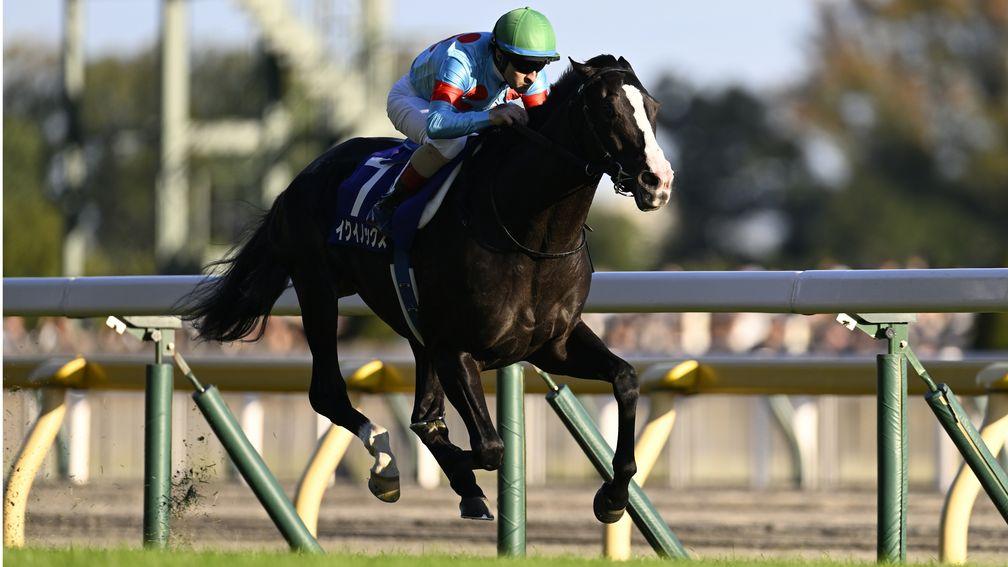 Equinox on his way to Tenno Sho (Autumn) victory