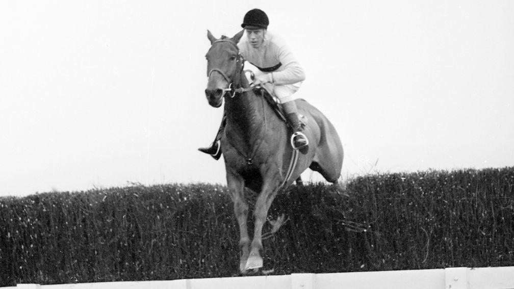 Arkle on his way to victory in the 1966 Cheltenham Gold Cup