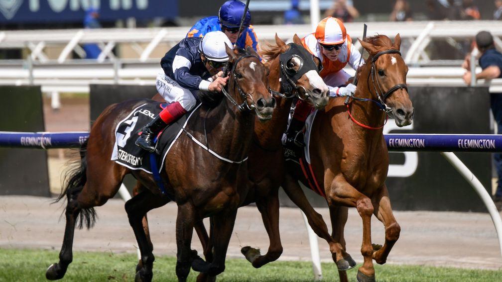 Master Of Reality (left) squeezes up Il Paradiso and Vow And Declare (right) in the latter stages of Tuesday's Melbourne Cup