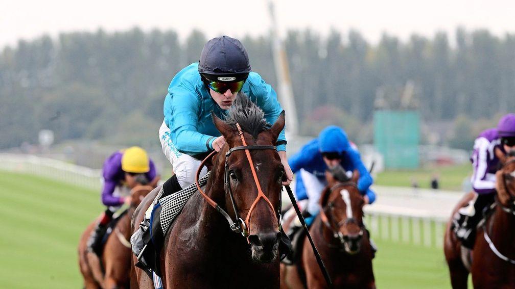 Brown Panther: the highlight of the Dascombe/Kinsgcote partnership