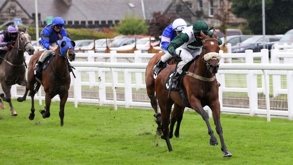 Gorgeous Gobolina, pictured winning at Musselburgh in July, faces off against her year older brother at Newcastle