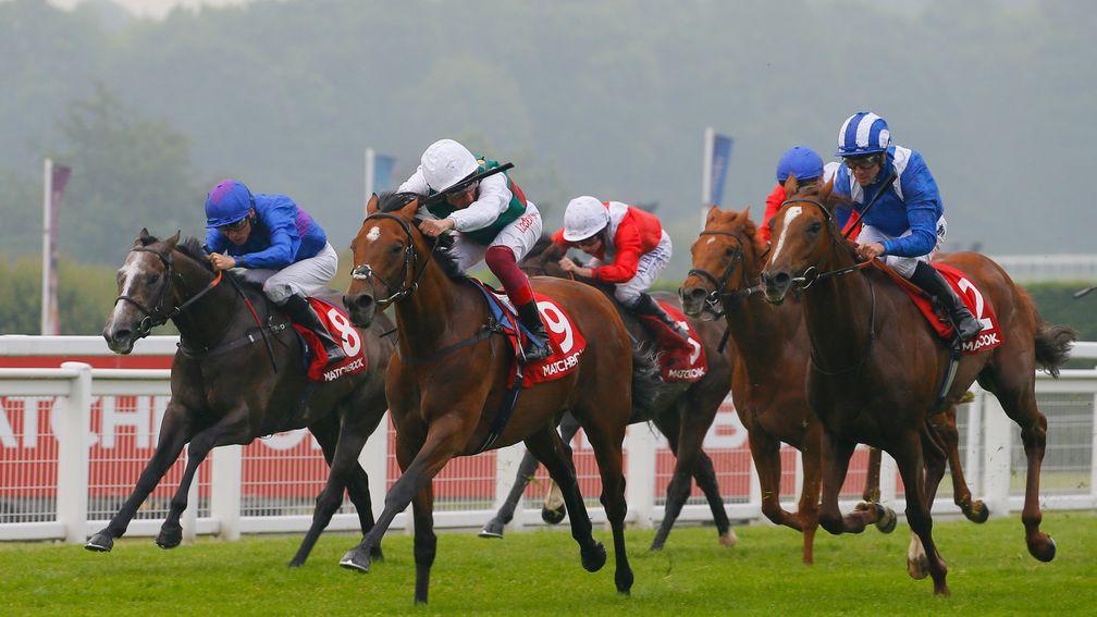 Vintager (far left) finishing third to Without Parole at Sandown